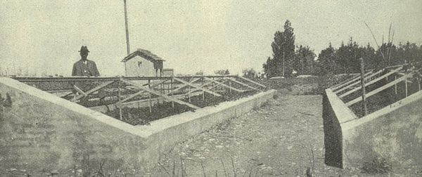 Cassoni riscaldati col termosifone per la semina del pomodoro e l'allevamento delle piantine Azienda Vegezzi