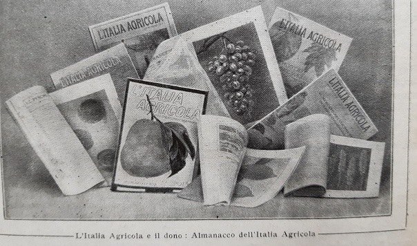 L'Italia Agricola e il dono Almanacco dell'Italia agricola, Giornale di agricoltura della Domenica, 27 dicembre 1914, p. 432.jpeg