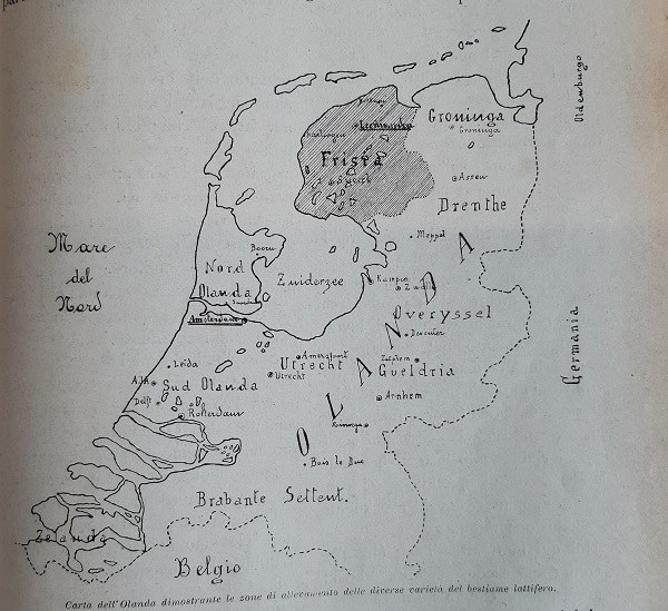 Cartina dell'Olanda con le zone d'allevamento delle diverse varietà del bestiame lattifero tratto da L’agricoltura piacentina, 1 agosto 1909