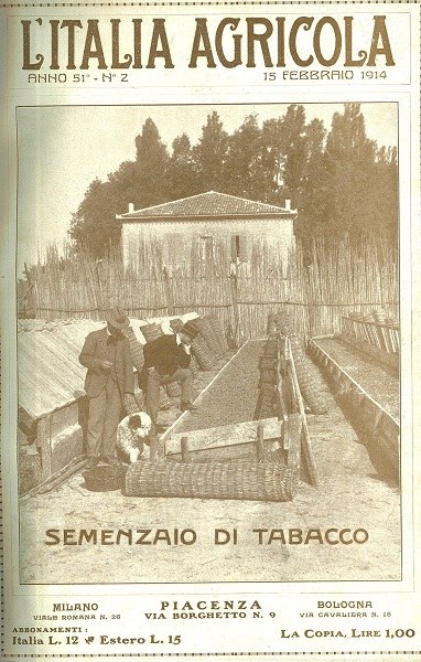 Semenzaio di Tabacco, copertina de L’Italia Agricola, 15-02-1914