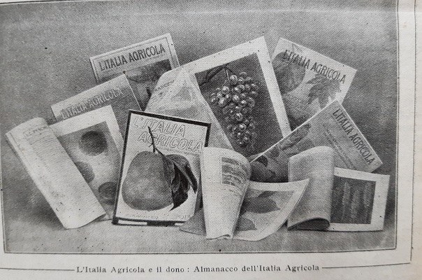 L'Italia Agricola e il dono Almanacco dell'Italia agricola, Giornale di agricoltura della Domenica, 27 dicembre 1914, p. 432
