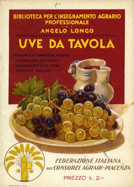 Alfonso Longo, Uve da Tavola, Piacenza, Federazione Italiana dei Consorzi Agrari, Biblioteca per l'insegnamento agrario professionale, 1930