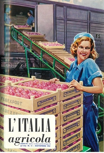 Copertina della rivista L’Italia Agricola, 20-11-1961