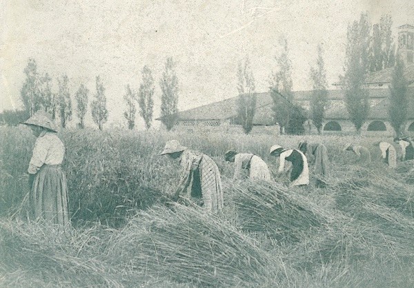 Donne al lavoro tratto da L'Italia Agricola, 15-05-1917