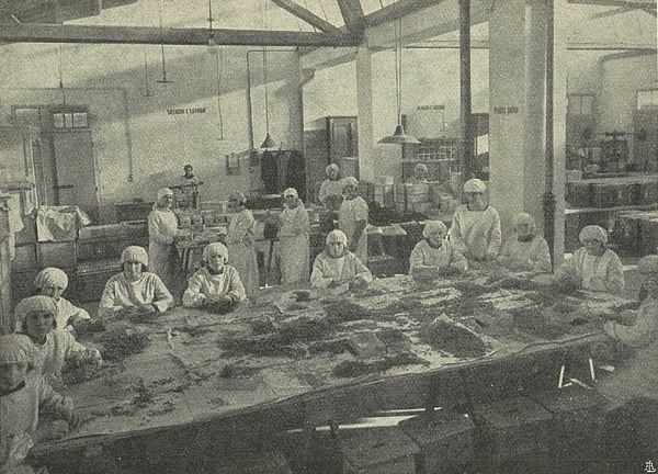 Sala di confezione prodotti essiccati tratto da L'industria della trasformazione della frutta e conservazione, Numero speciale Romagna Rurale, 12-1927