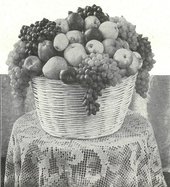 Cesto di frutta mista tratto da L'Italia Agricola, marzo 1932