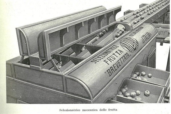 Selezionatrice meccanica della frutta tratto da L'Italia Agricola, marzo 1932