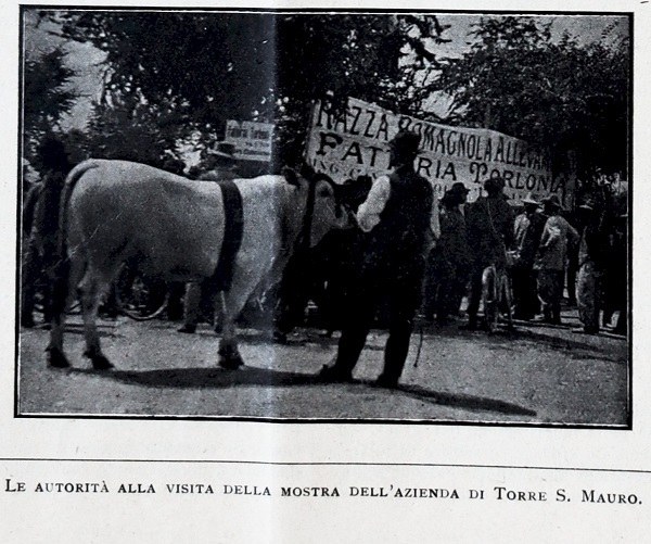 Le autorità in visita alla Mostra tratto da Giornale di agricoltura della domenica, 24 settembre 1911