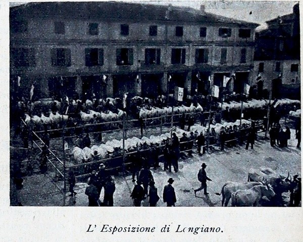 L'esposizione di Longiano tratta da Giornale di agricoltura della domenica, 6 novembre 1910