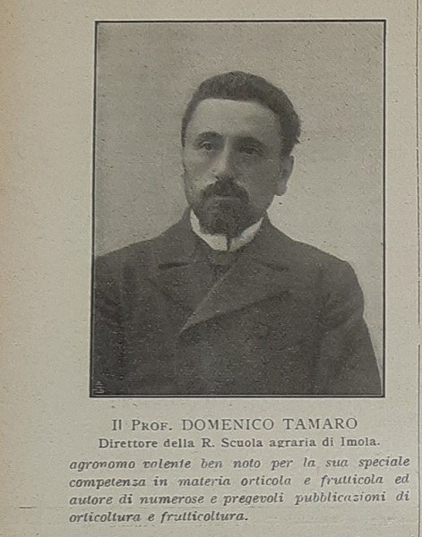 Prof. Domenico Tamaro tratto da Giornale di agricoltura della domenica, 10 settembre 1911