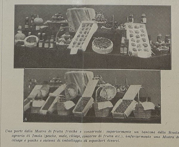 Una parte della Mostra di frutta fresca e conservata tratta da Giornale di agricoltura della domenica, 10-09-1911