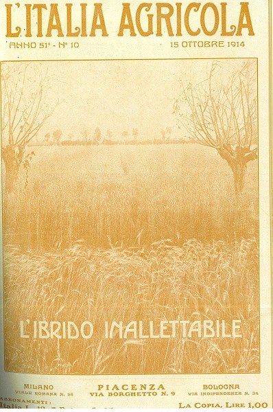 L’Ibrido inallettabile, copertina de L’Italia Agricola del 15-10-1914