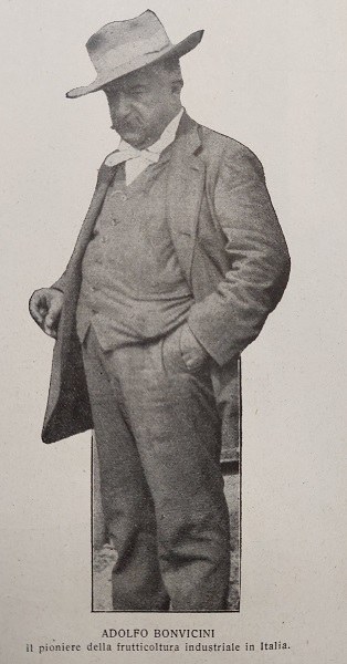 Il Cavaliere Adolfo Bonvicini tratto da Giornale di agricoltura della Domenica, 28-07-1913