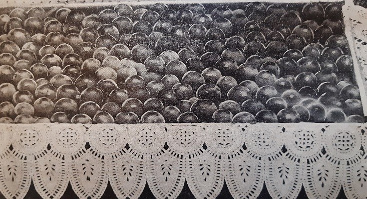 Cassetta per l'imballaggio dell'uva da tavola tratto da Giornale di agricoltura della Domenica, 16 marzo 1902