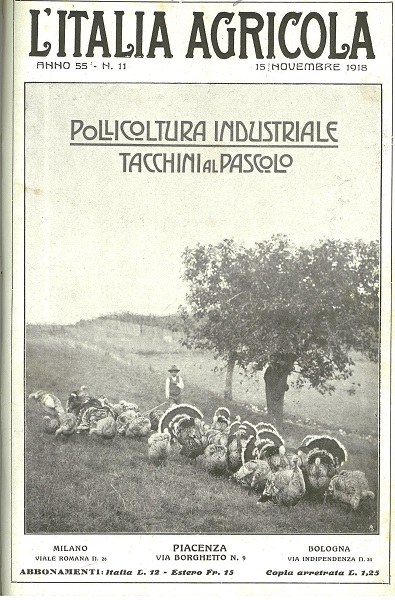 Pollicoltura industriale e Tacchini al pascolo copertina de L’Italia Agricola 15 novembre 1918