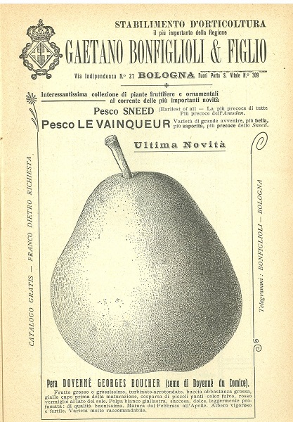 Pubblicità Stabilimento d'orticoltura Bonfiglioli tratto da Almanacco dell'Italia Agricola 1908