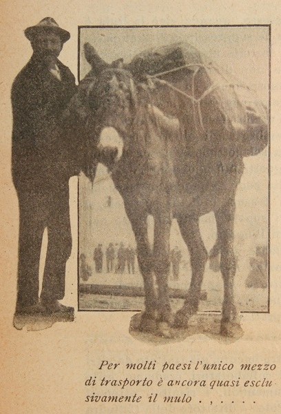 Per molti paesi l'unico mezzo di trasporto è ancora quasi esclusivamente il mulo tratto da Il Giornale di agricoltura della domenica, 4 febbraio 1912