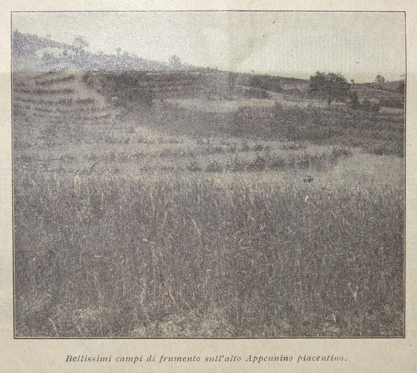 8-Il progresso dell’Appennino emiliano, in Il Giornale di agricoltura della domenica, 19 aprile 1914, pp. 125, 130-131