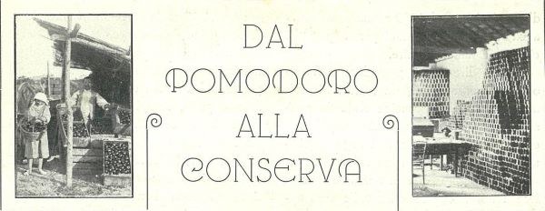 Testatina dell'articolo Dal pomodoro alla conserva apparso sull'Almanacco l'Italia Agricola