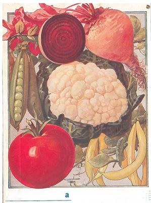 Una pagina pubblicitaria della ditta Ingegnoli 1922 Catalogo delle semine e piantagioni