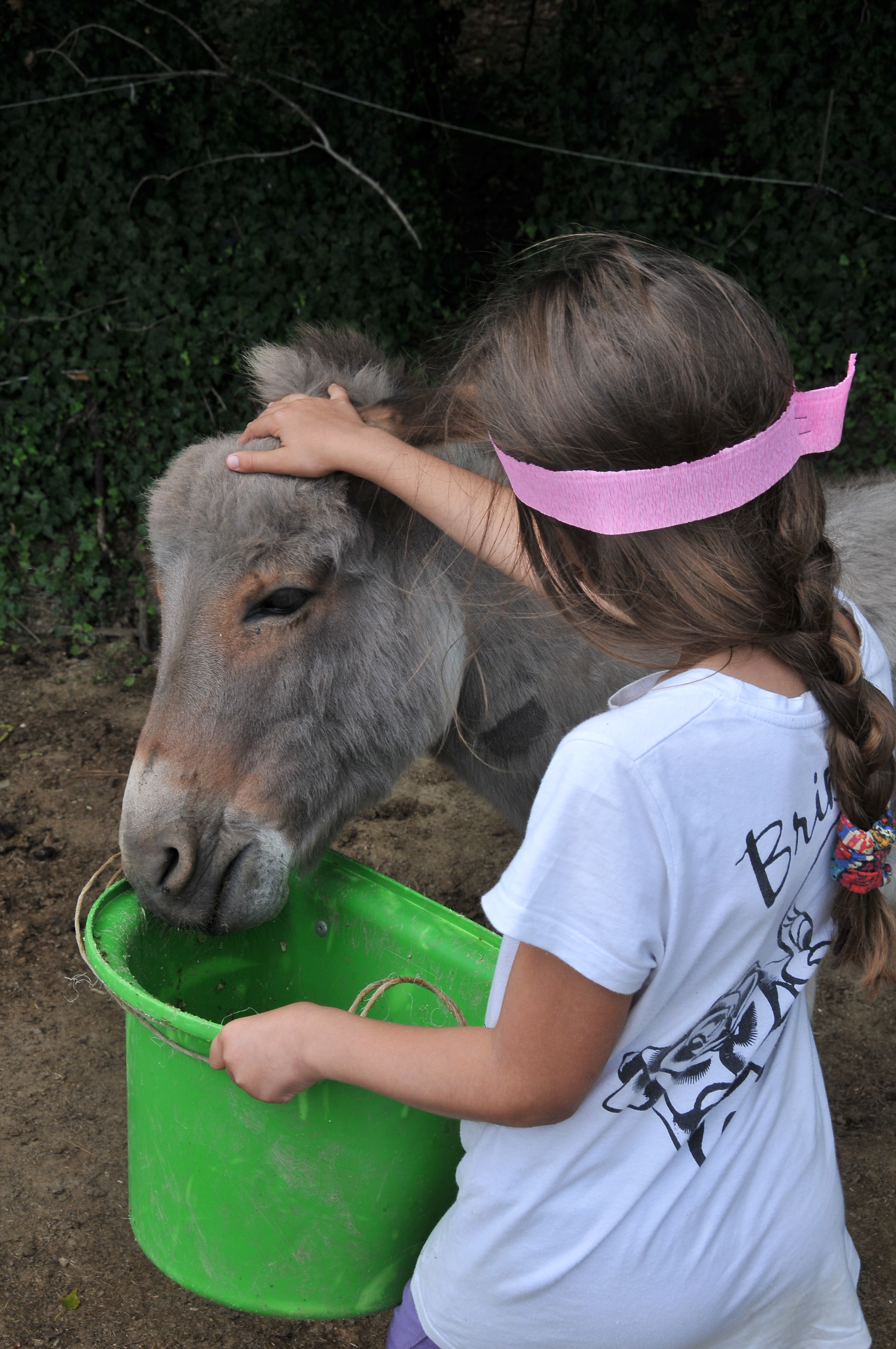 Bimba con asino -  Agriturismo Case Mori Rimini foto Dell'Aquila 