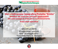 Cambia il piano dei controlli e l'applicazione dei contrassegni per il confezionamento dei vini Igp "Emilia"