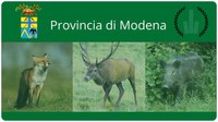 Provincia di Modena, al via il nuovo applicativo per la registrazione delle uscite dei cacciatori di selezione e dei coadiutori