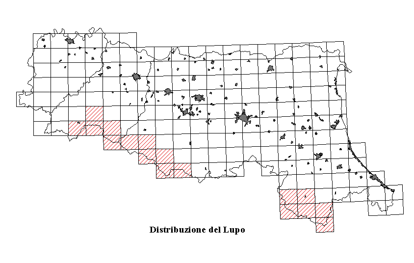 Carta di distribuzione