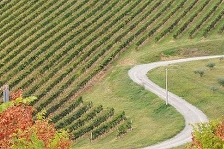 Le Strade dei vini e dei sapori