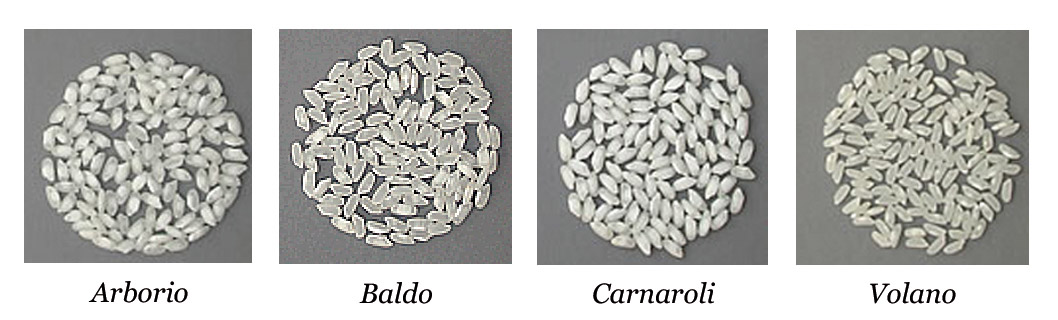 Risoni delle quattro varietà principali della IGP del Delta del Po: Arborio, Baldo, Carnaroli e Volano, ph. sito Qualitvita