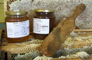 Appuntamento con la natura e l'apicoltura a Piacenza