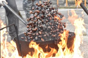 A ottobre torna la Sagra del Marrone di Castel del Rio