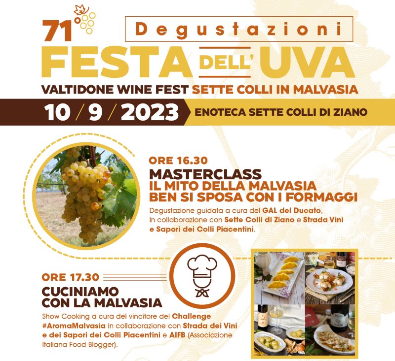 Locandina Valtidone Wine Fest, tappa Ziano piacentino