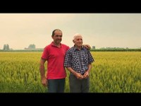 La Patata di Bologna Dop e i coltivatori di valori