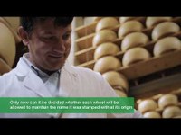 Parmigiano Reggiano Dop: artigianalità, sostenibilità e tradizione