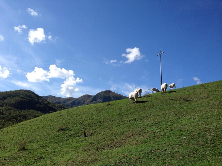 neve di maggio.jpg