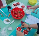 fragole preparazione orto nelle scuole foto Dell'Aquila(1).jpg