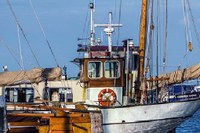 Feamp: nuovo bando regionale per promuovere e incentivare la competitività della filiera ittica