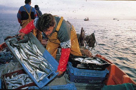 100.000 euro dal fondo Feamp per la commercializzazione del prodotto ittico (misura 5.68 Feamp)