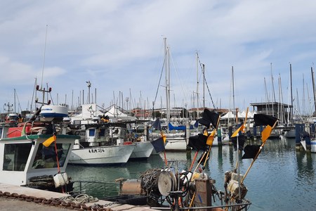 Consulta ittica, la Regione a fianco di acquacoltori e pescatori
