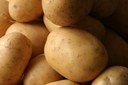 Un bando da 500mila euro per sostenere la coltivazione della patata sul territorio regionale