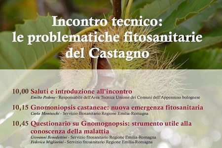 Le problematiche fitosanitarie del castagno: disponibili le presentazioni dei relatori