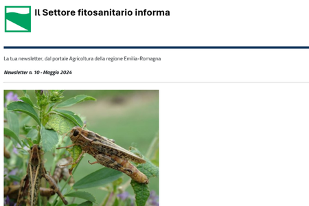 Il Settore fitosanitario informa: pubblicata la Newsletter n. 10 - Maggio 2024