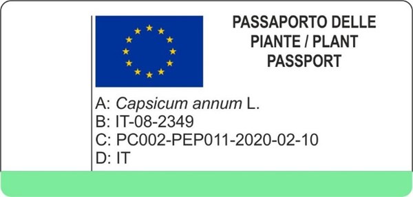 formato_passaporto.jpg