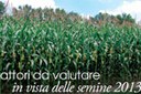 In Emilia-Romagna continua l’espansione della Diabrotica