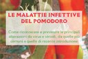 Le malattie infettive del pomodoro - 2012