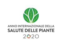 Anno internazionale salute delle piante