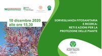 Sorveglianza fitosanitaria e ricerca: reti e azioni per la protezione delle piante