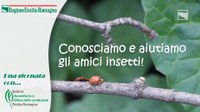 Conosciamo e aiutiamo gli amici insetti! - Iniziativa didattica Villa Smeraldi