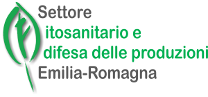 Logo fito SETTORE 300.png